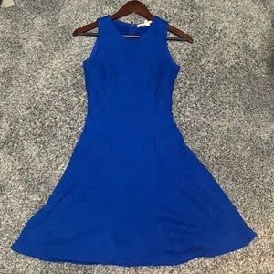 Chelsea & Violet skater style dress XS